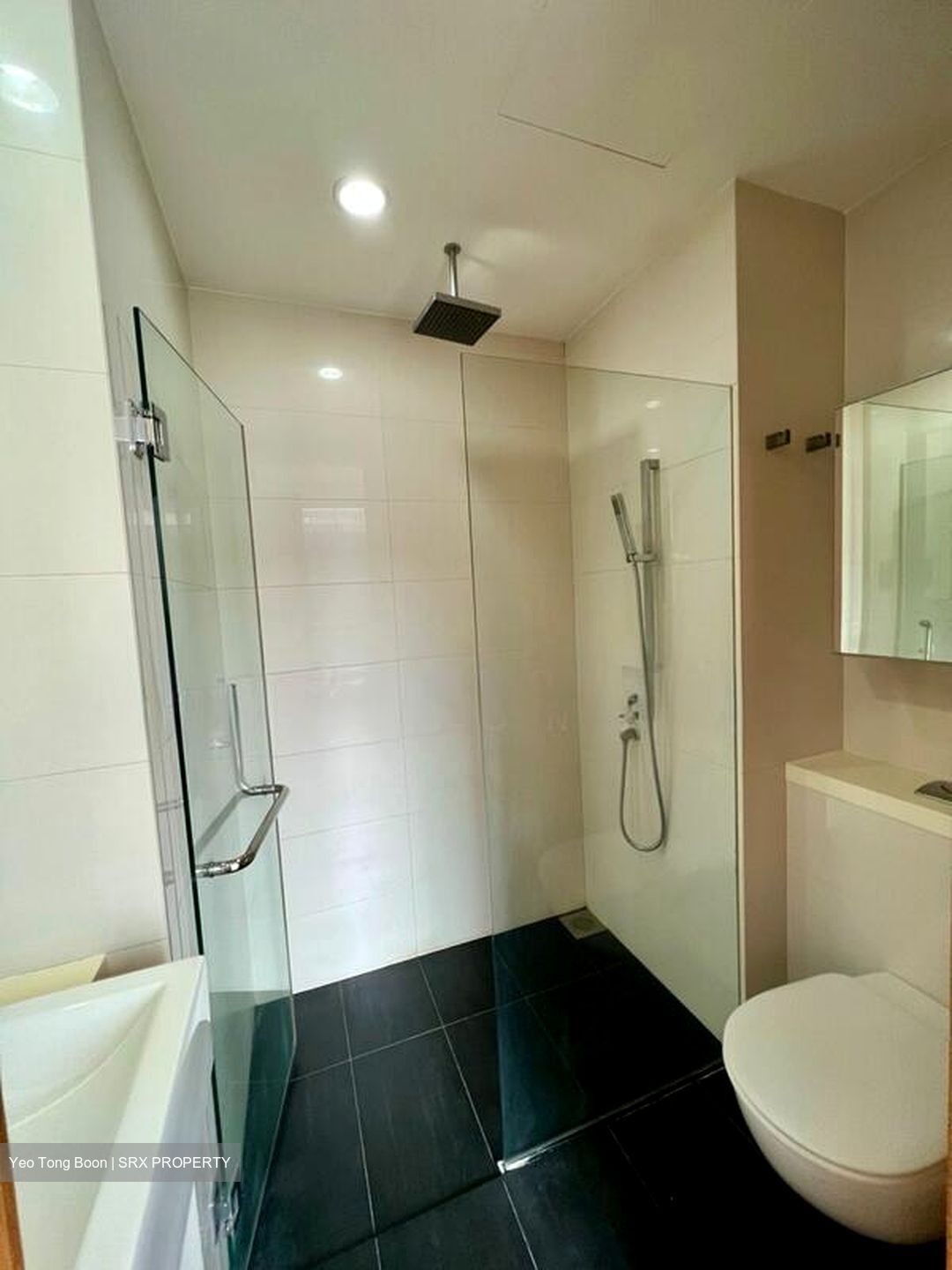 Lumiere (D2), Apartment #593236221